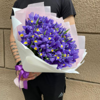 Bouquet of Irises