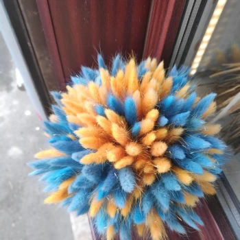 Себет